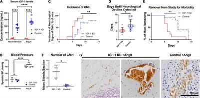 Increased Susceptibility to Cerebral Microhemorrhages Is Associated With Imaging Signs of Microvascular Degeneration in the Retina in an Insulin-Like Growth Factor 1 Deficient Mouse Model of Accelerated Aging
